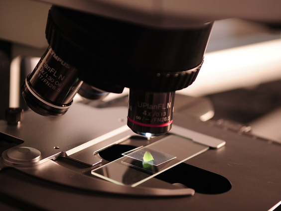 Komt COVID-19 uit een lab?