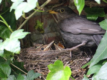 Kees van Velzen: 'God zorgt voor ons'