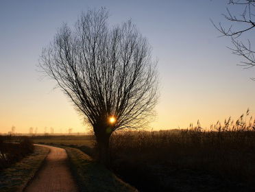 IJzige temperaturen in de lente