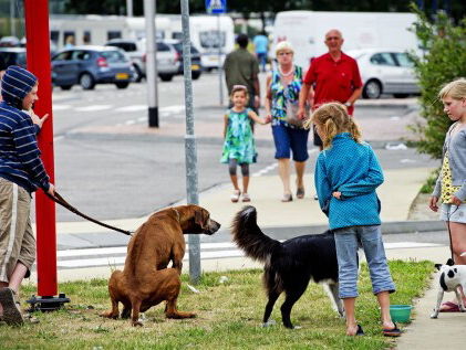40.000 handtekeningen voor afschaffing blaftaks