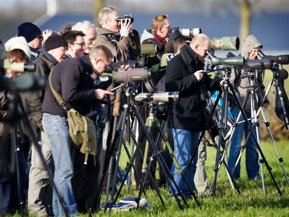 Van Nu Naar Toen: Vogelspotten
