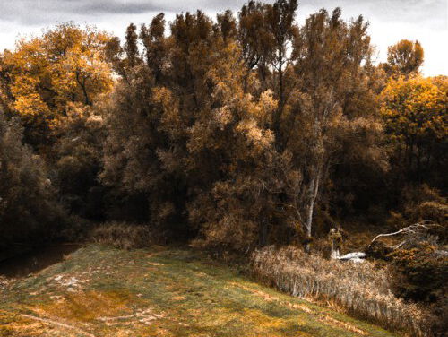 Op weg naar het Songfestival 2020: Michel van der Aa over de installatie Eight