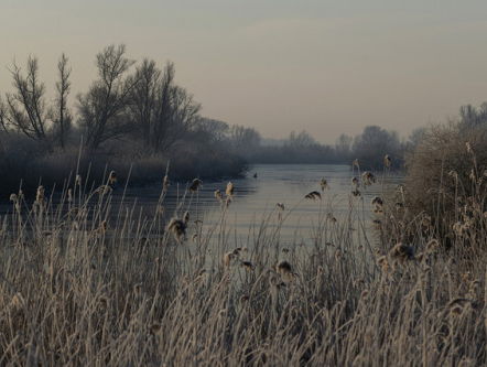Monument voor de Biesboschboeren