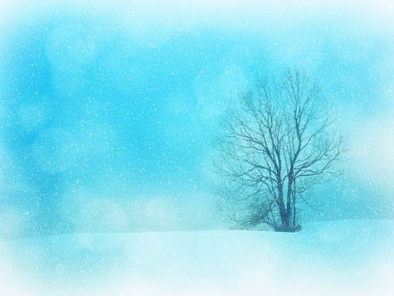 Vrouw verstuurt 1300 kerstkaarten naar militairen op missie.