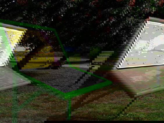 Braillepluim voor Staatsbosbeheer