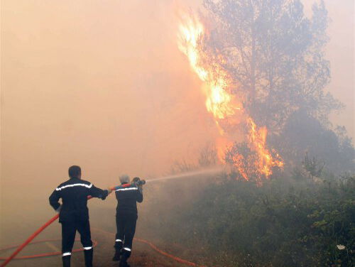 Franse campings hebben last van bosbranden