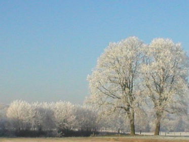 Lekker zingen in winterse sfeer!