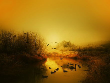 Dagsluiter - Ronald Smout