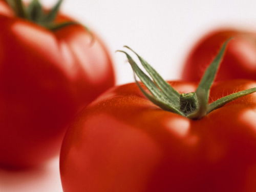 Wat te doen met 6 miljoen tomaten?