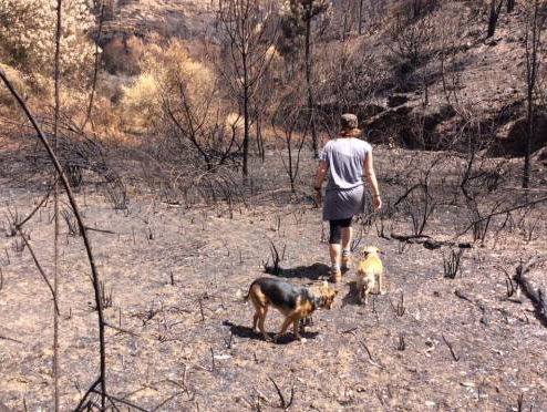 Liedewij Schieving ontmoet vandaag de Koning!
