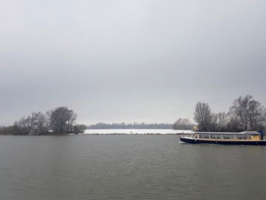 Snertwandeling in de Biesbosch