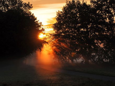 Dagsluiter Arnoud Drop