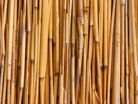 Stok achter de deur voor Nederland?