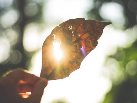 Reinier van den Berg over de recordtemperatuur