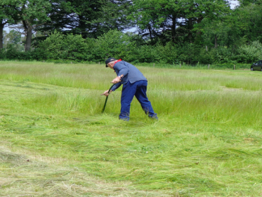 NK Grasmaaien met de zeis