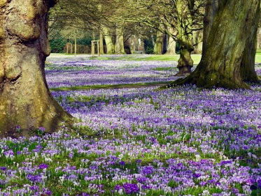 Dagsluiter Marco van der Straten