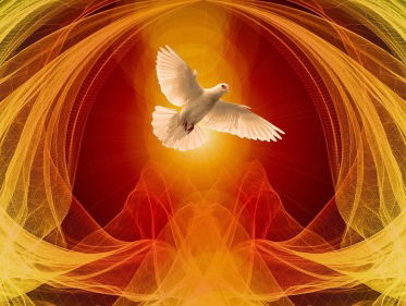 Woord van de Dag - Geest