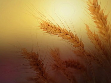 Kees van Velzen: 'Toeval bestaat niet zeggen sommige mensen. Is dat zo?'