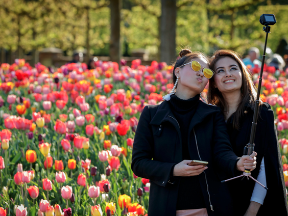 Keukenhof zoekt bezoekers!