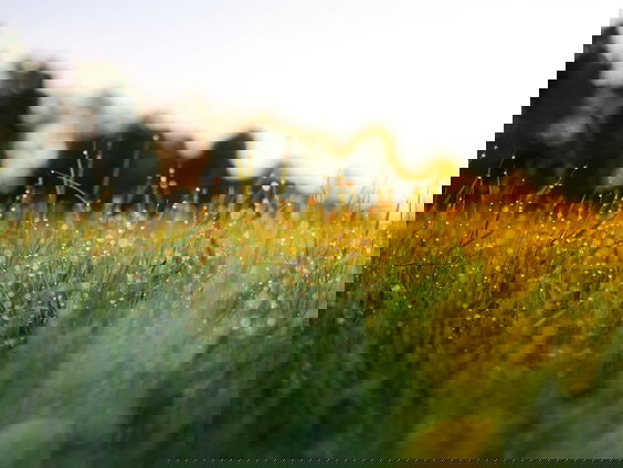 Hemelvaartsdag door de jaren heen!