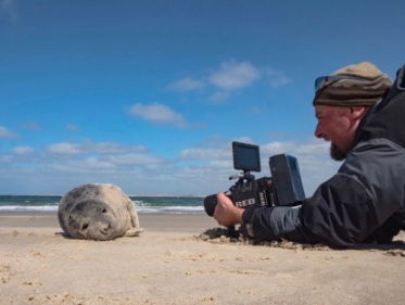 WADfilm van Ruben Smit