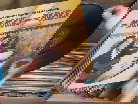 Liefde voor Muziek/Plaatwaarde: If You Can Believe Your Eyes And Ears van The Mamas And The Papas