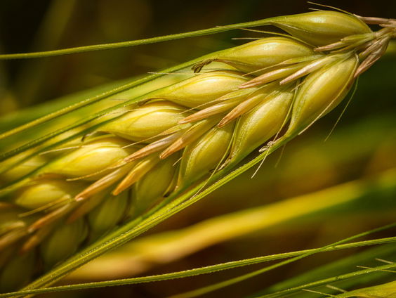 Overdenking Jurjen ten Brinke 04-10-2020