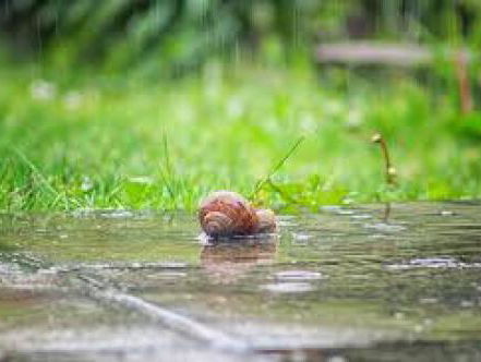 Wat Een Vak: Bioloog