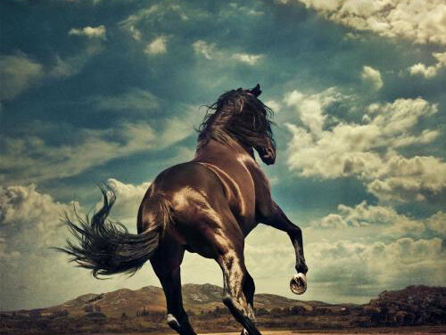 Sleepy Joe's Café - Bruce Springsteen