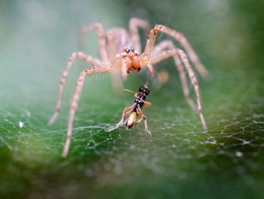 Martine Dubois doet een ontdekking!