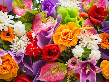 Thomas zoekt een secretaresse