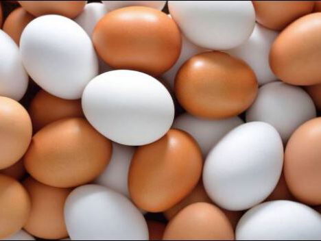 De Koelkastcoach - Wereld ei dag