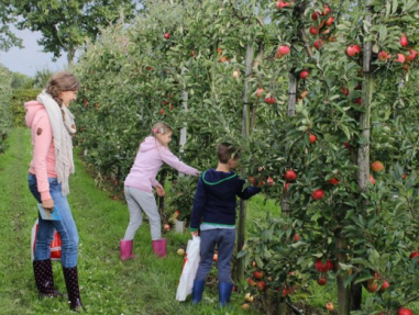 Landelijke Fruitplukdagen