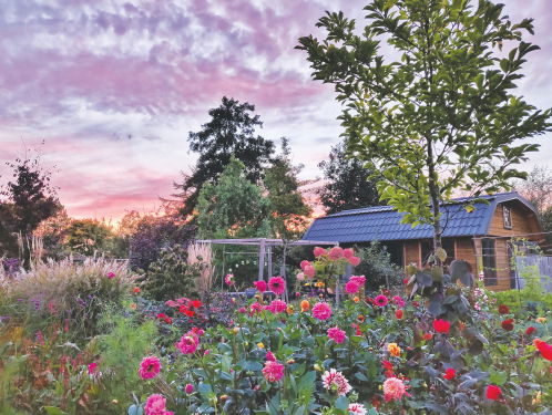 Gast: Silvia Dekker over haar boek 4: Bloemen uit de Tuin, zelf zaaien, planten & plukken