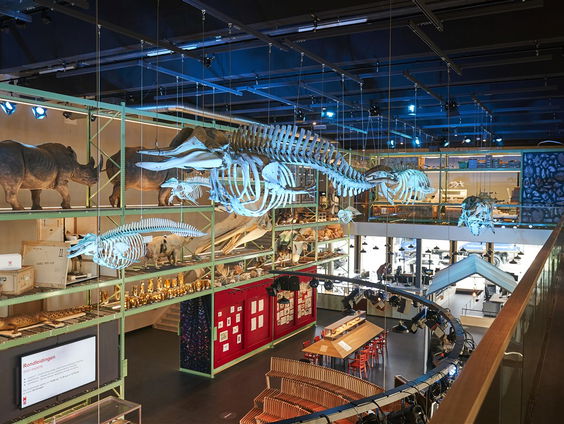 Van Nu Naar Toen: 200 jaar Naturalis