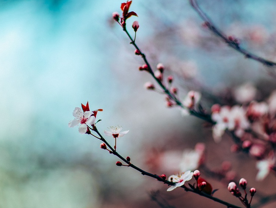Zolang je groeit, sta je permanent in bloei