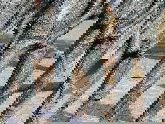 Schoonhovens mannenplashuis wordt kleinste museum van Nederland