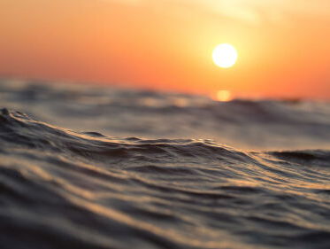 Hoge waterstand bij Lobith