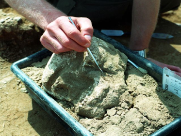 Schatgraven in Oosterdalfsen