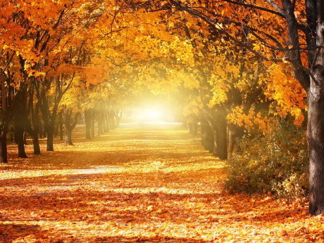 We krijgen een oudewijvenzomer