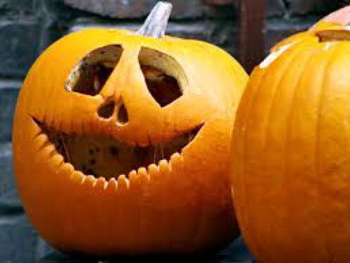 Botanisch filosoof Norbert Peeters over de pompoen