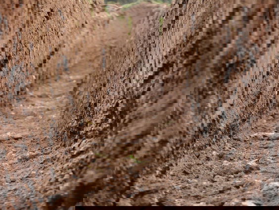 Ondermijnt Donald Trump de democratie?