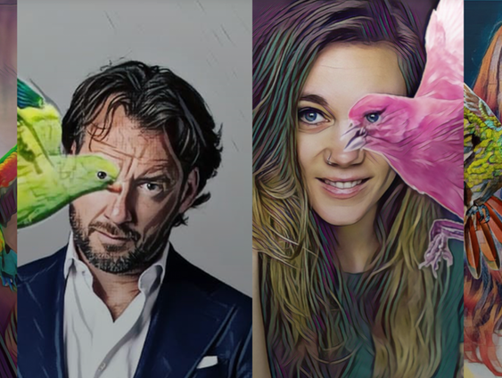 Mark Haayema over de voorstelling 'Vreemde Vogels' en het boek 'Word maar beter'