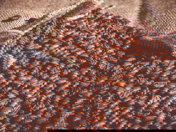 Zuivere koffie uit de bajes