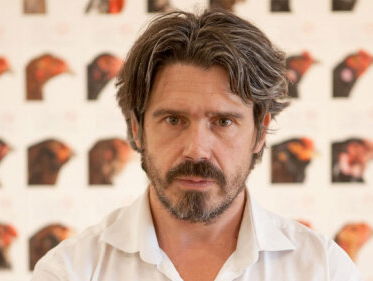 Een kip als kunstwerk