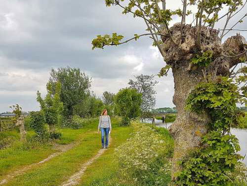 Op pad in Appingedam