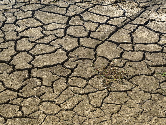 Hongersnood dreigt door coronavirus