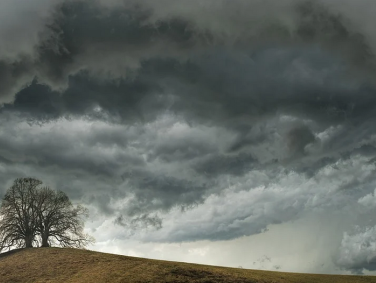 Ik Zou Wel Eens Willen Weten - 10 mei