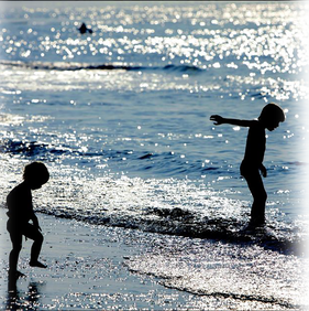 De Andere Zomer van 2020