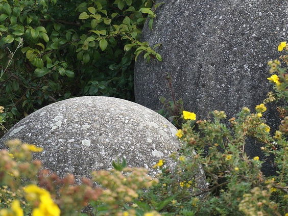 De Las Bolas van Costa Rica